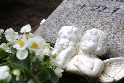 Oberkörper zweier Engel aus weißem Stein lehnen vor einem halb liegendem Grabstein. Vor den Engeln sind weiße Blüten zu sehen.
