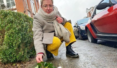 Eine Frau legt eine Rose auf einem goldenen Gedenkstein auf einer Straße nieder. 