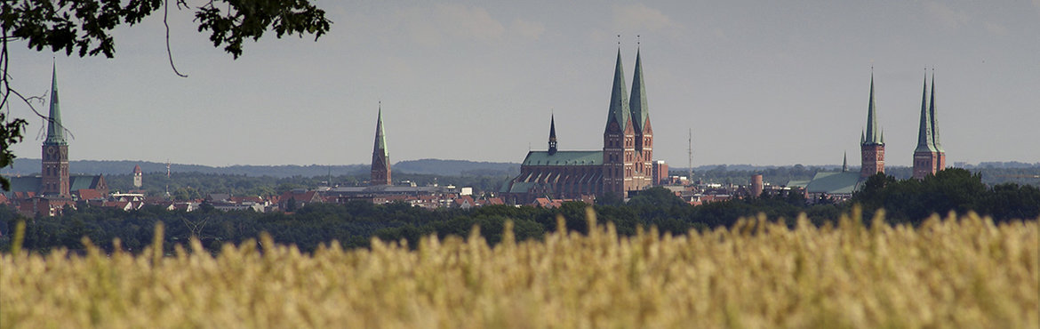 Copyright: Dr. Karen Meyer-Rebentisch Die Sieben Türme Lübecks - Im Vordergrund ein gelbes Rapsfeld