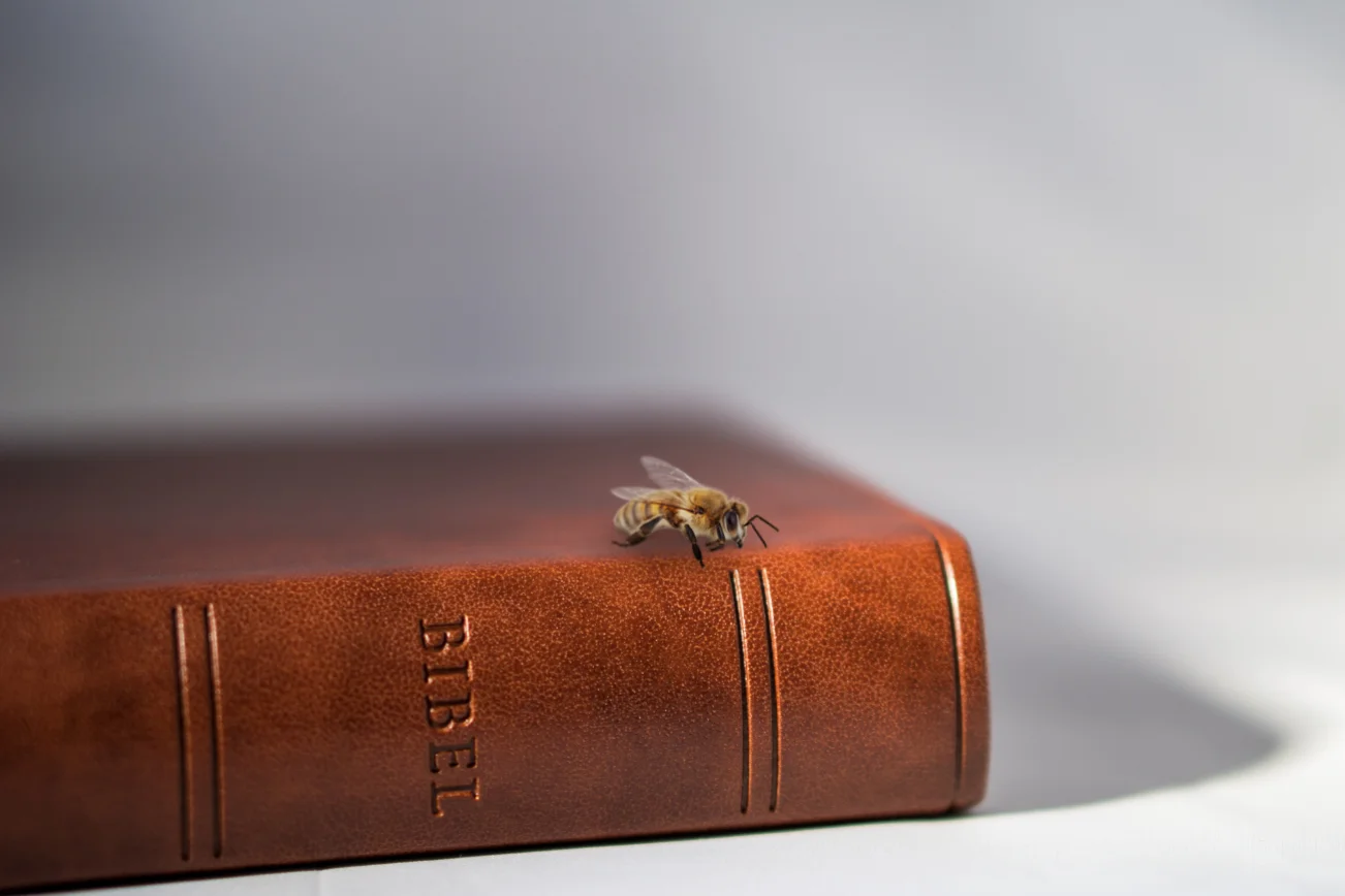 Eine Biene auf einer Bibel