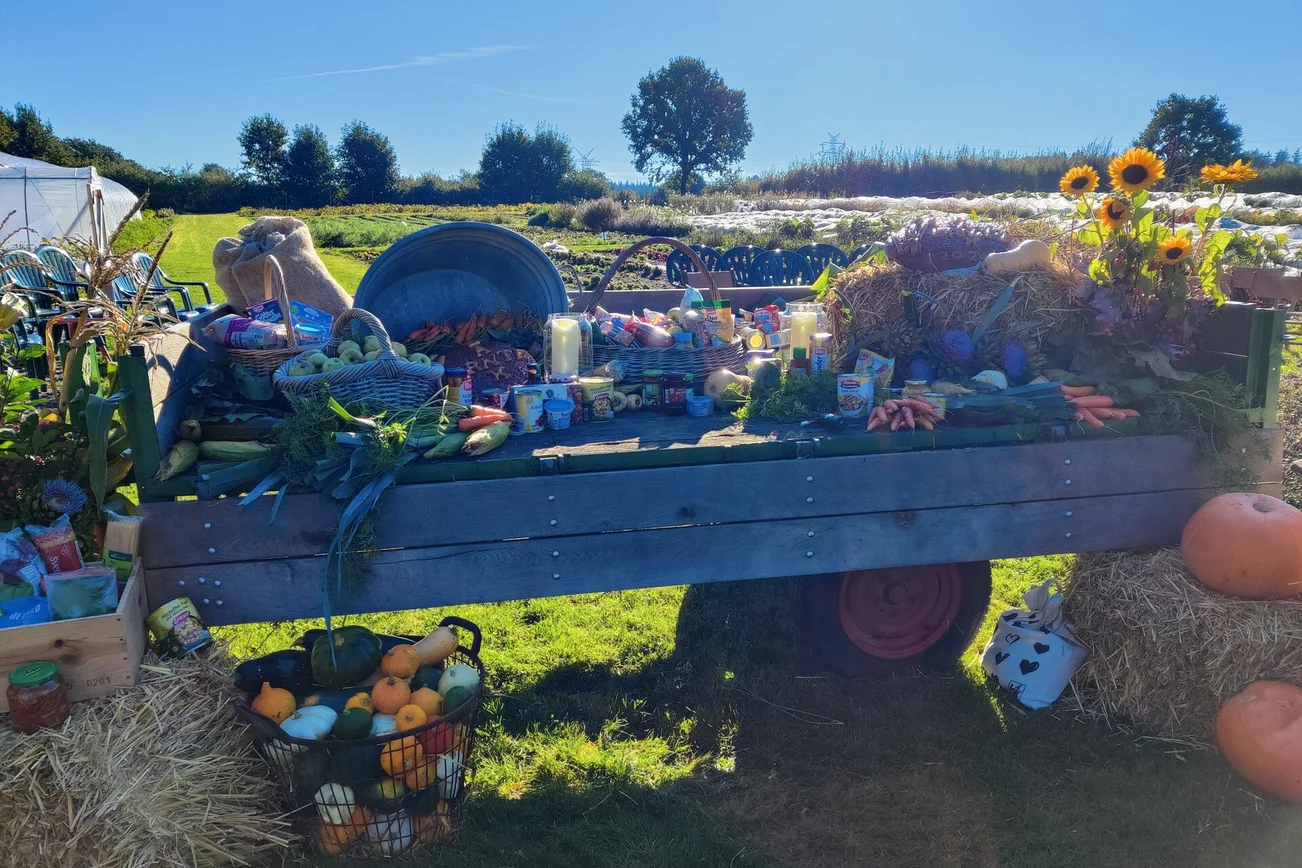 Erntewagen mit Lebensmitteln vor einem grünen Feld