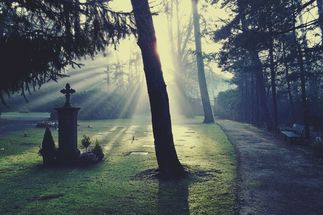 Copyright: Pixabay Joggie/ Friedhof, Licht /cemetery-883417_1920