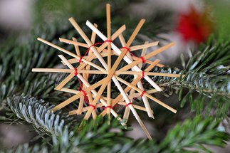 Copyright: Foto: Lotz