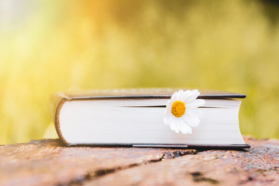 Buch von der Seite mit Blume auf Holz liegend. - Copyright: N. Schwarz © GemeindebriefDruckerei.de