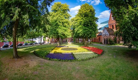 Blick auf die florale Installation am Dom zu Lübeck. 