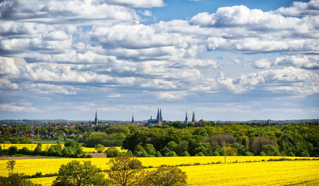 Silhouette Lübecks im Hintergrund, der Himmel ist wolkenverhangen, im Vordergrund sind gelbe Rapsfelder zu sehen und grüne Bäume.