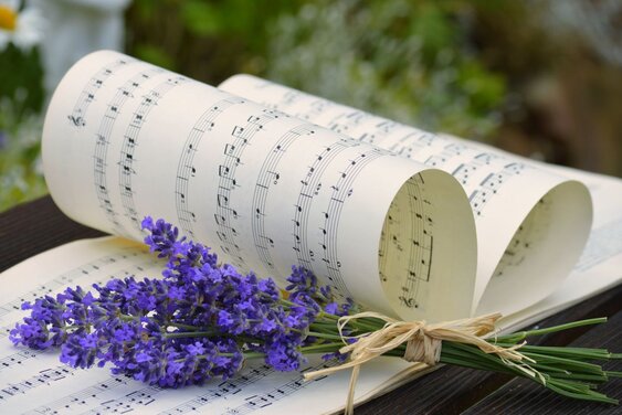 Copyright: pixabay Frauke Riether