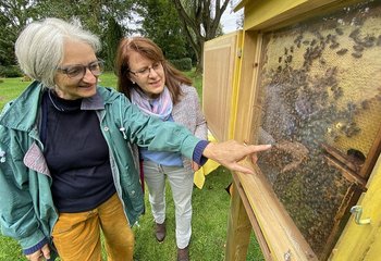Zwei Frauen schauen in einen Schaukasten, in dem ein Bienenvolk lebt.  - Copyright: Bastian Modrow