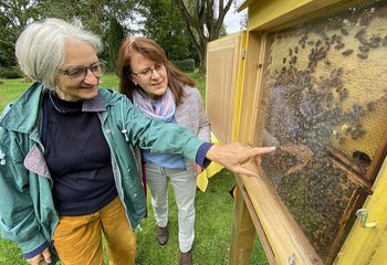 Zwei Frauen schauen in einen Schaukasten, in dem ein Bienenvolk lebt.  - Copyright: Bastian Modrow