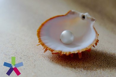 Muschel mit Perle - Copyright: Günter/Pixabay