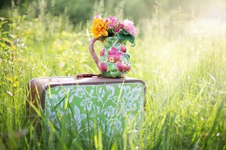 Copyright: Jill Wellington(Pixabay)