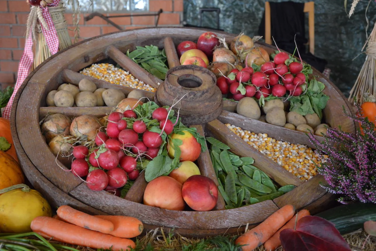 Das Bild zeigt ein liegendes historisches Wagenrad zwischen dessen Speichen Gemüse, Obst Kartoffeln und Korn liegen.