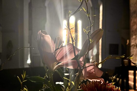 Copyright: Dom (Sewing)