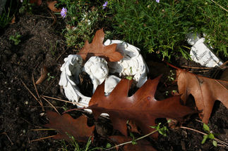 Der Oberköper eines weißen Steinengels mit Flügeln, die ihn links und rechts umranden, liegt im Gras / Ein paar Eichenlaubblätter liegen auf ihm.