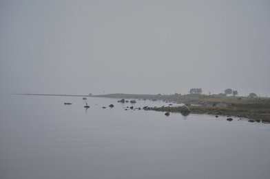 Ein Uferstreifen auf Gotland im Nebel - Copyright: Pastor Arne Kutsche