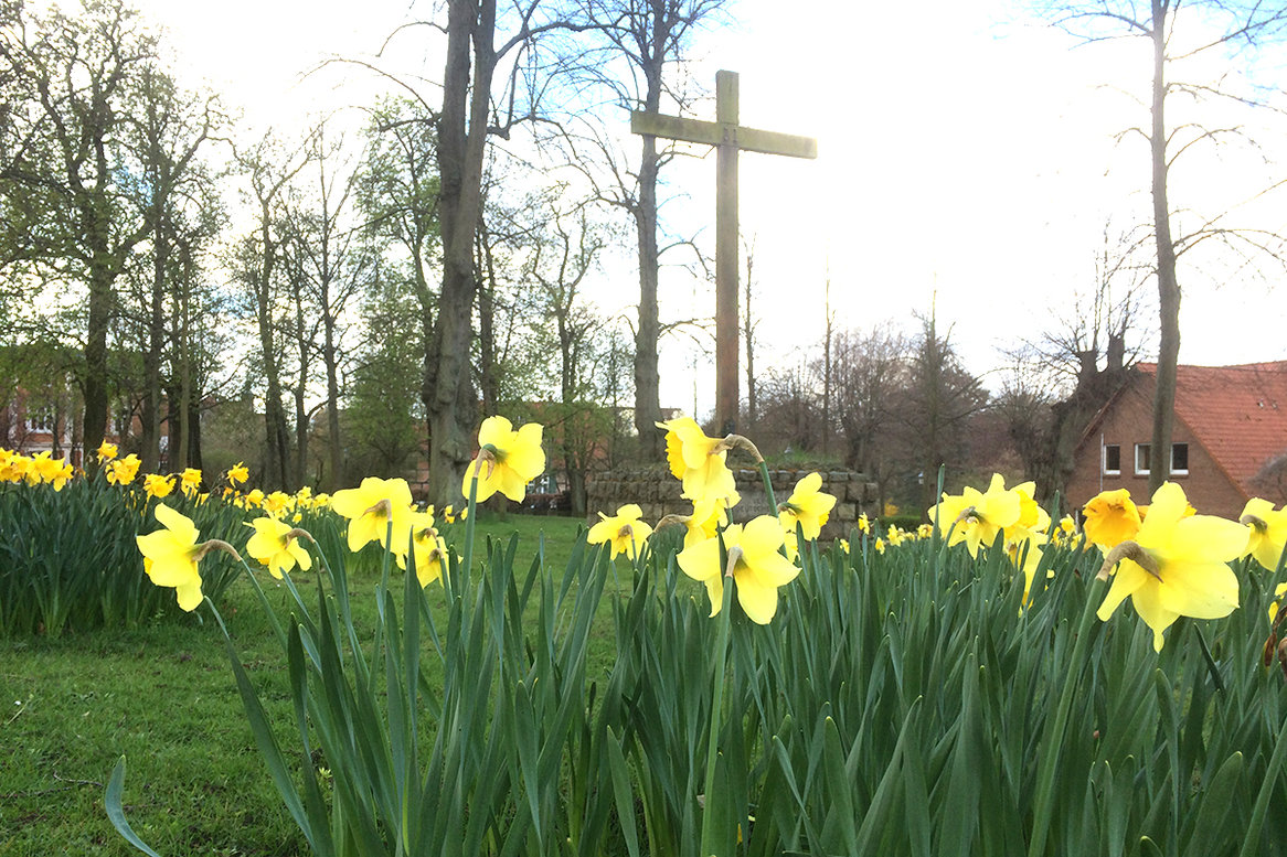 Narzissen vor einem Holzkreuz symbolisieren Ostern