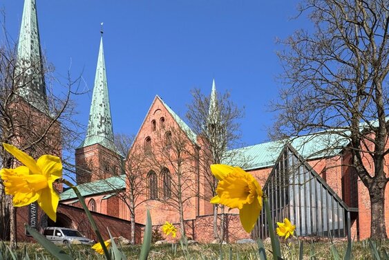 Copyright: Dom (Lars Sewing)