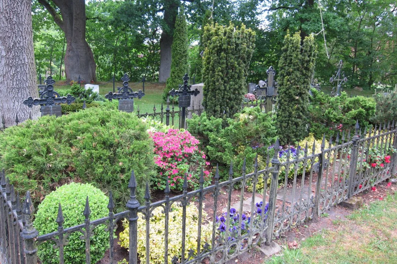 Ältere angelegte Gräber, üppig bewachsen