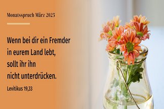Copyright: © 2017 Kath. Bibelan., Stuttgart-Grafik: © GemeindebriefDruckerei