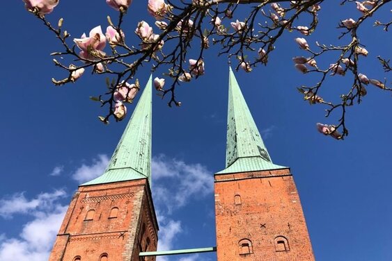 Copyright: Dom (Wegner)