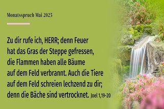 Copyright: © 2017 Kath. Bibelanst., Stuttgart-Grafik: © GemeindebriefDruckerei