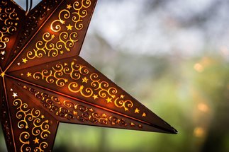 Copyright: Harals Braun / Pixabay