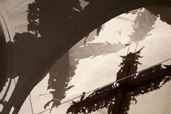 Copyright: Dom (Schaefer)