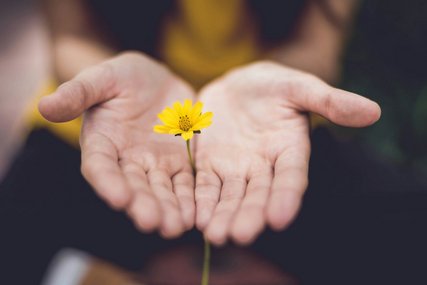 Eine gelbe Blüte ragt aus geöffneten Händen hervor. - Copyright: Unsplash (Lina Troche)