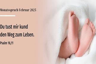 Copyright: © 2016 Dt. Bibelgesells., Stuttgart - Grafik: © GemeindebriefDruckerei