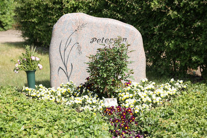 Ein Grab mit Blumen und Grünpflanzen geschmückt. Ein Grabstein mit einer Ähre darauf und neben dem Grabstein steht eine grüne Vase mit rosa Nelken.