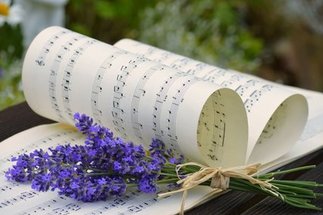Copyright: Pixabay Frauke Riether