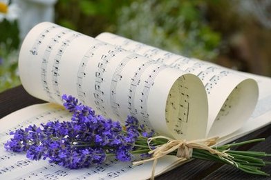 Copyright: Pixabay Frauke Riether