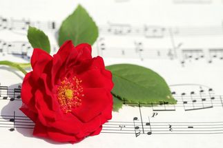 Copyright: pixabay Heung Soon