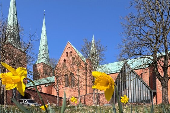 Copyright: Dom (Lars Sewing)