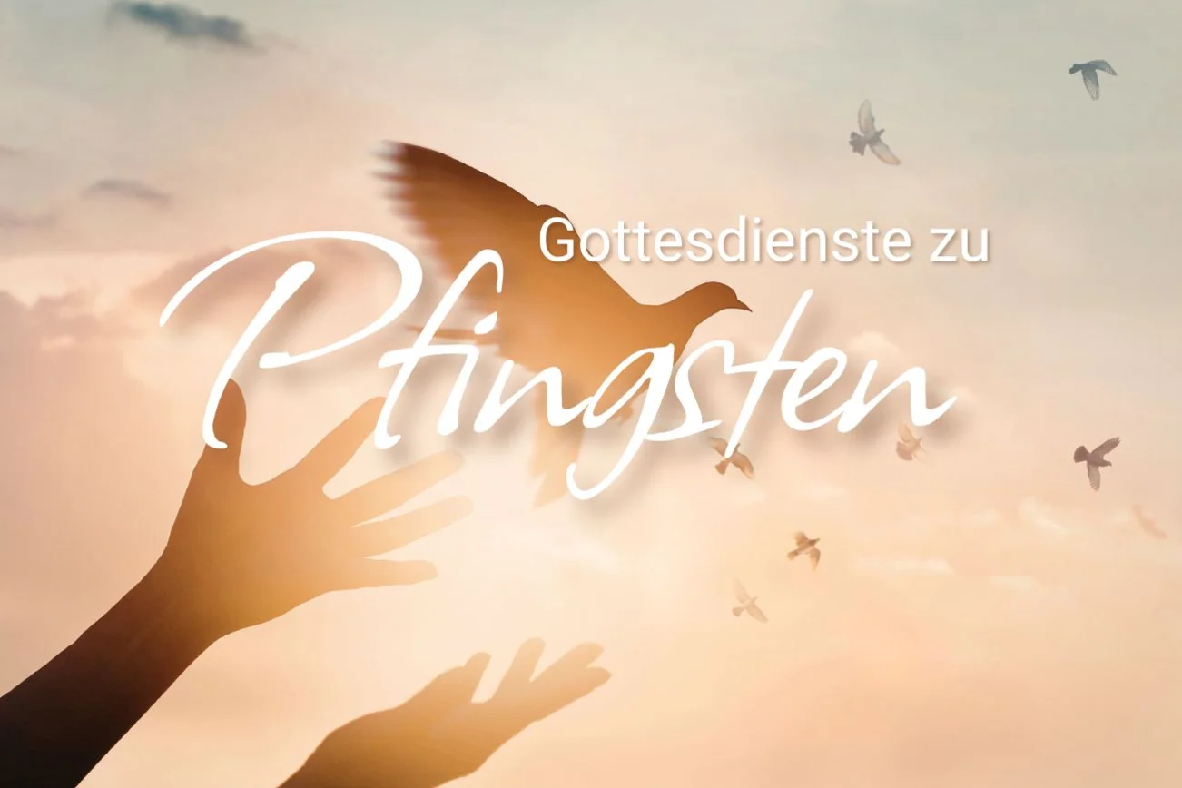 Hände, die eine taube freigeben, dahinter Sonnenschein
