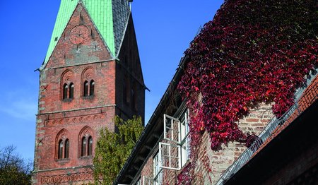 Roter Efeu rangt an einem Altstadthaus, links daneben ist ein Teil vom Turm St. Aegidien zu sehen.