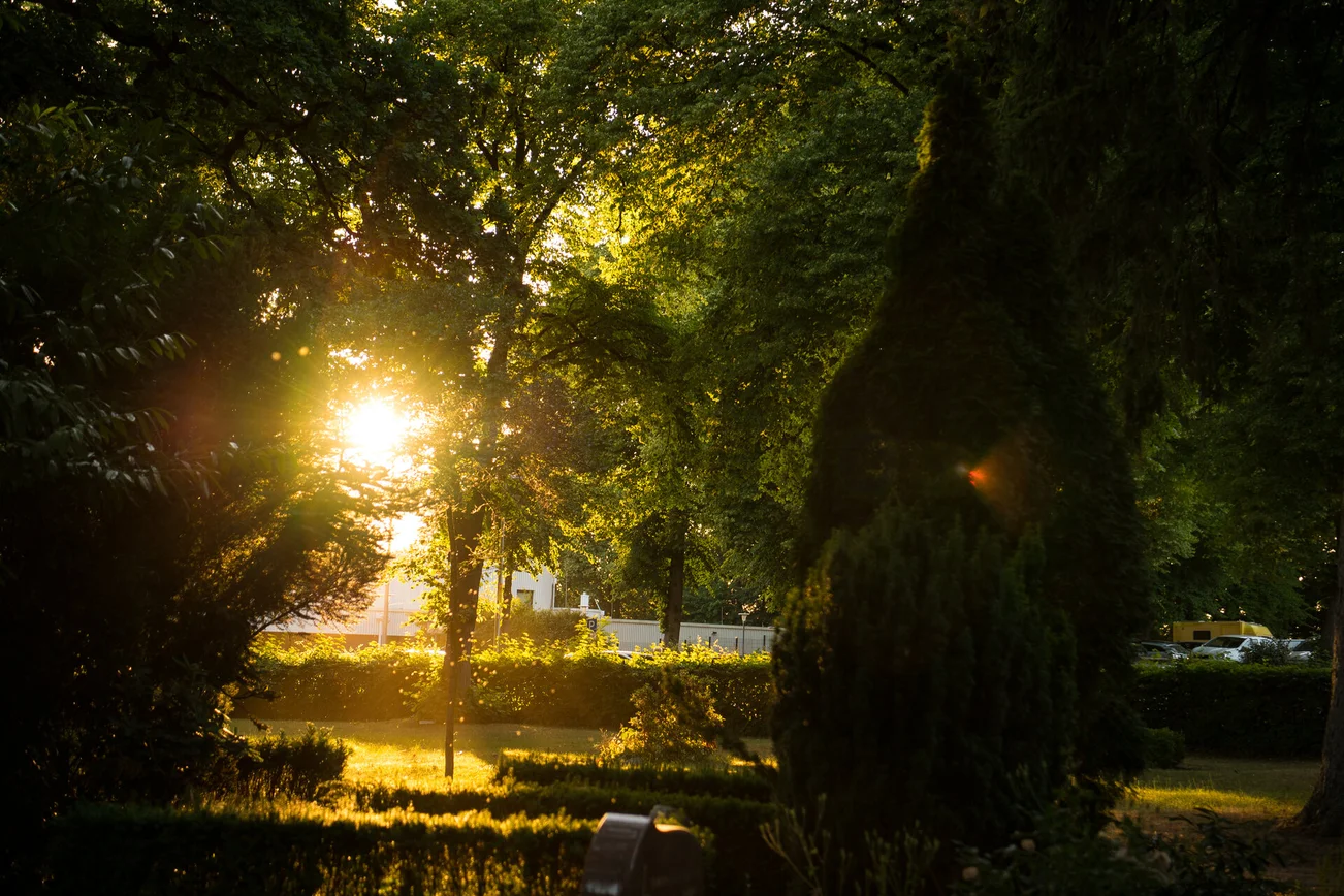Abendsonne auf einem Friedhof