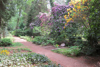 Aumühle Waldfriedhof - Copyright: Ev.-Luth. Kirchenkreis Lübeck-Lauenburg Waldfriedhof Aumühle - Copyright: Ev.-Luth. Kirchenkreis Lübeck-Lauenburg