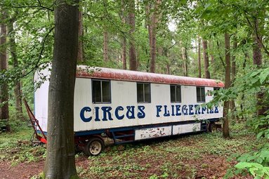 Ein alter Zirkuswagen steht in einem grünen Wald.