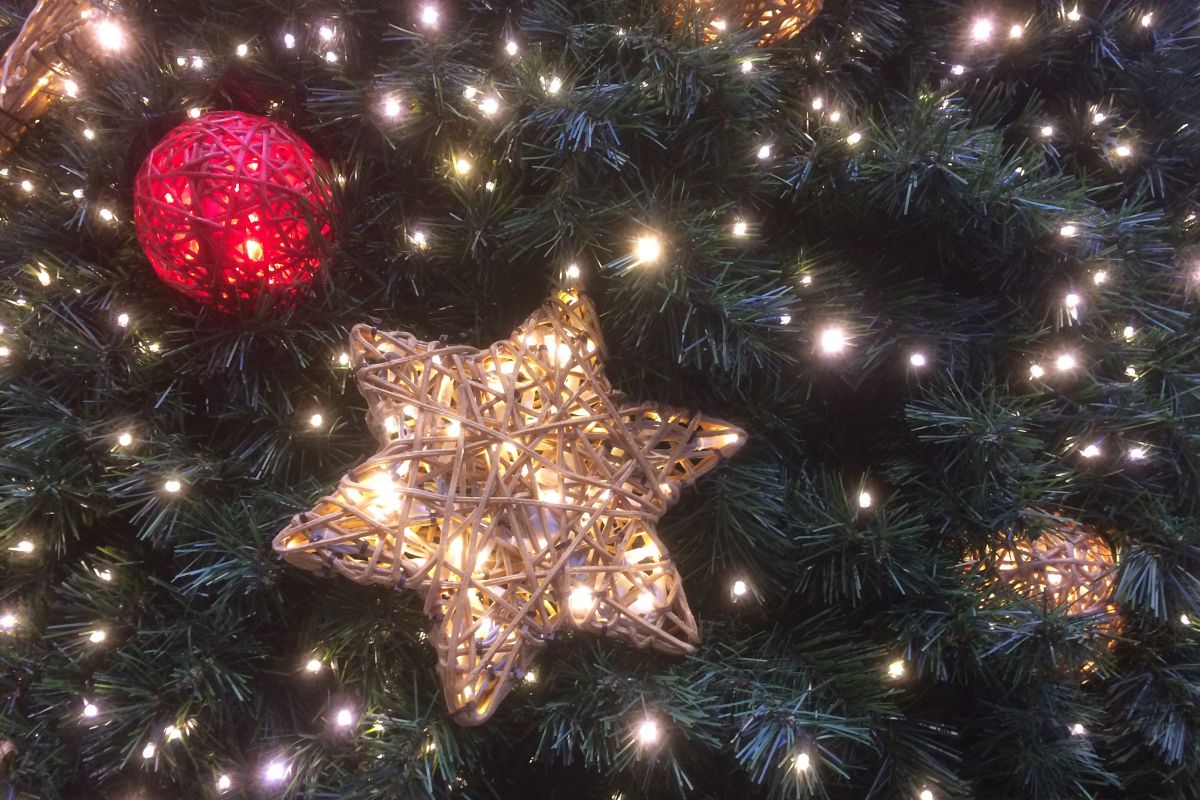 Ein Stern und eine rote Kugel am beleuchteten Weihnachtsbaum.
