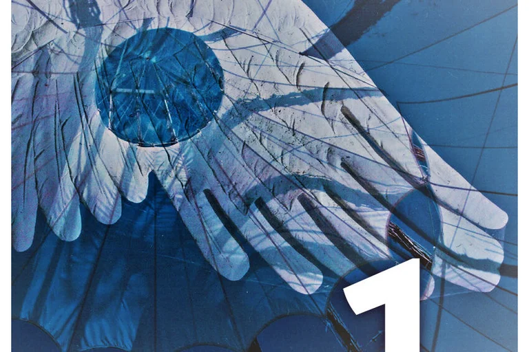 Ein großer künstlerischer Taubenflügel