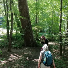 Menschen auf einem Waldweg
