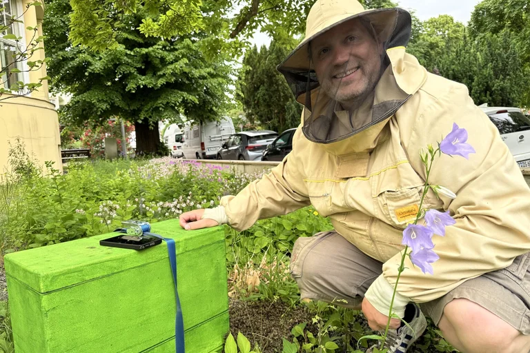 Imker rettet 25.000 Bienen an der Kirchenkreisverwaltung