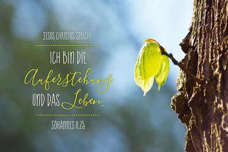Ein frisches, grünes Blatt wächst aus einem Stamm. Johannes 11,25 , Jesus Christus spricht: Ich bin die Auferstehung und das Leben.