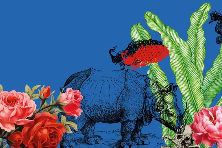 bunte Blumen, Nashornzeichnung
