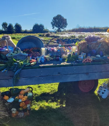 Erntewagen mit Lebensmitteln vor einem grünen Feld