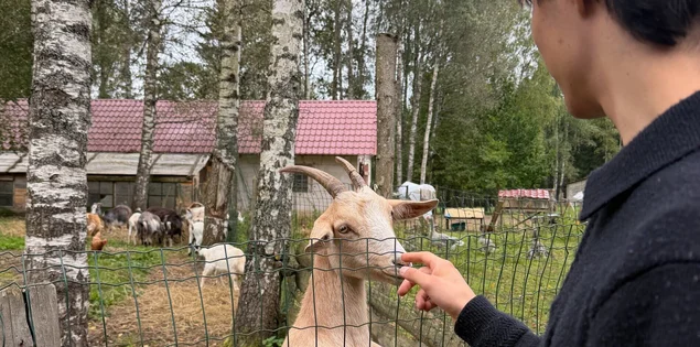 Ein junger Mann hält seine Hand an die Schnauze einer Ziege.