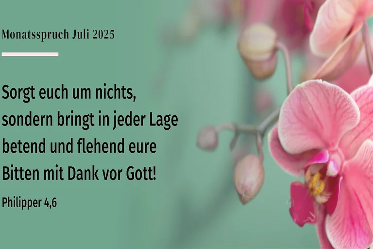 Grüner Hintergrund mit rosa Orchidee