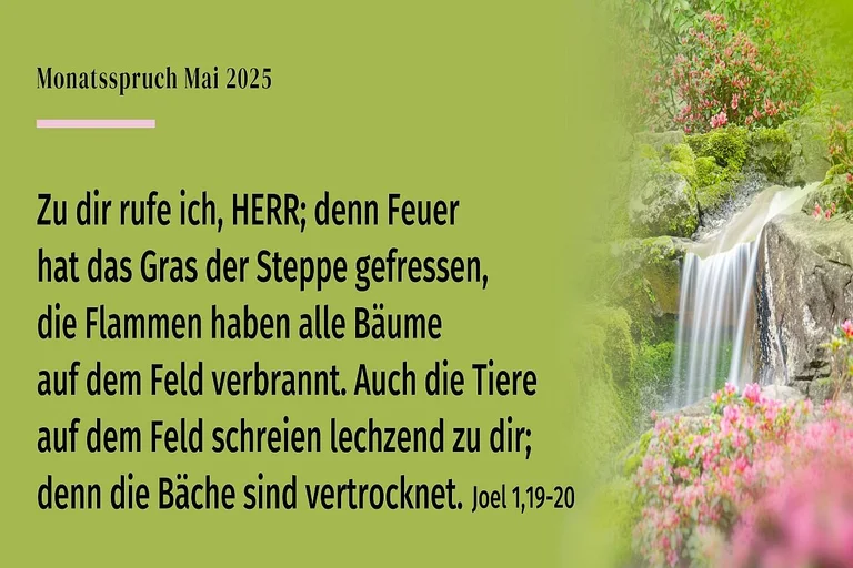 Schwarze Schrift auf grünem Hintergrunde mit Wasserfall und Blüten