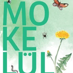 Schriftzug MOKELÜL auf grünem Untergrund mit Schmetterling und Löwenzahn